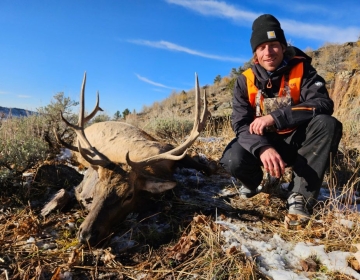 Sns Wyoming Wilderness Elk 2025 2